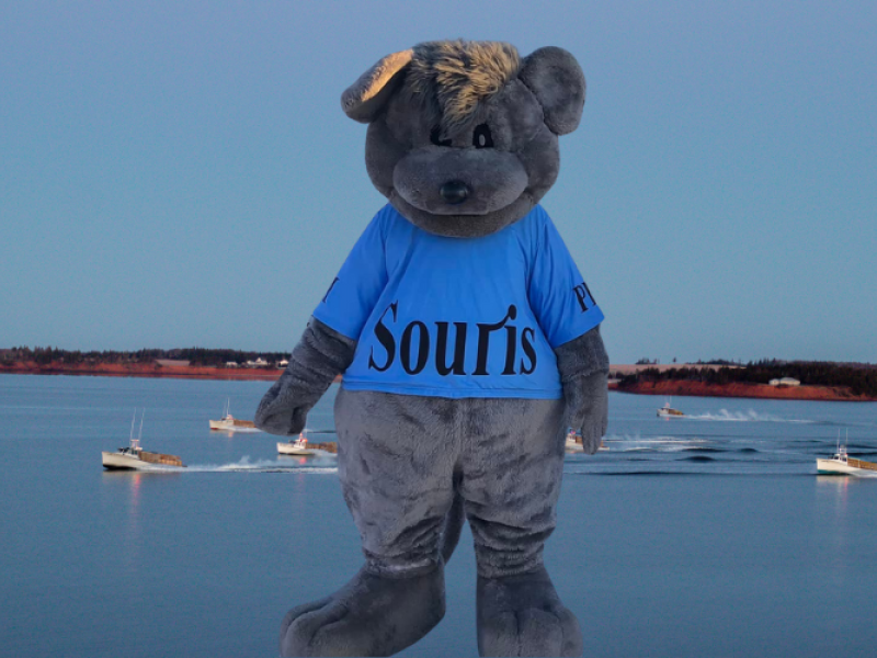 Souris the mascot with image of harbour and fishing boats in background